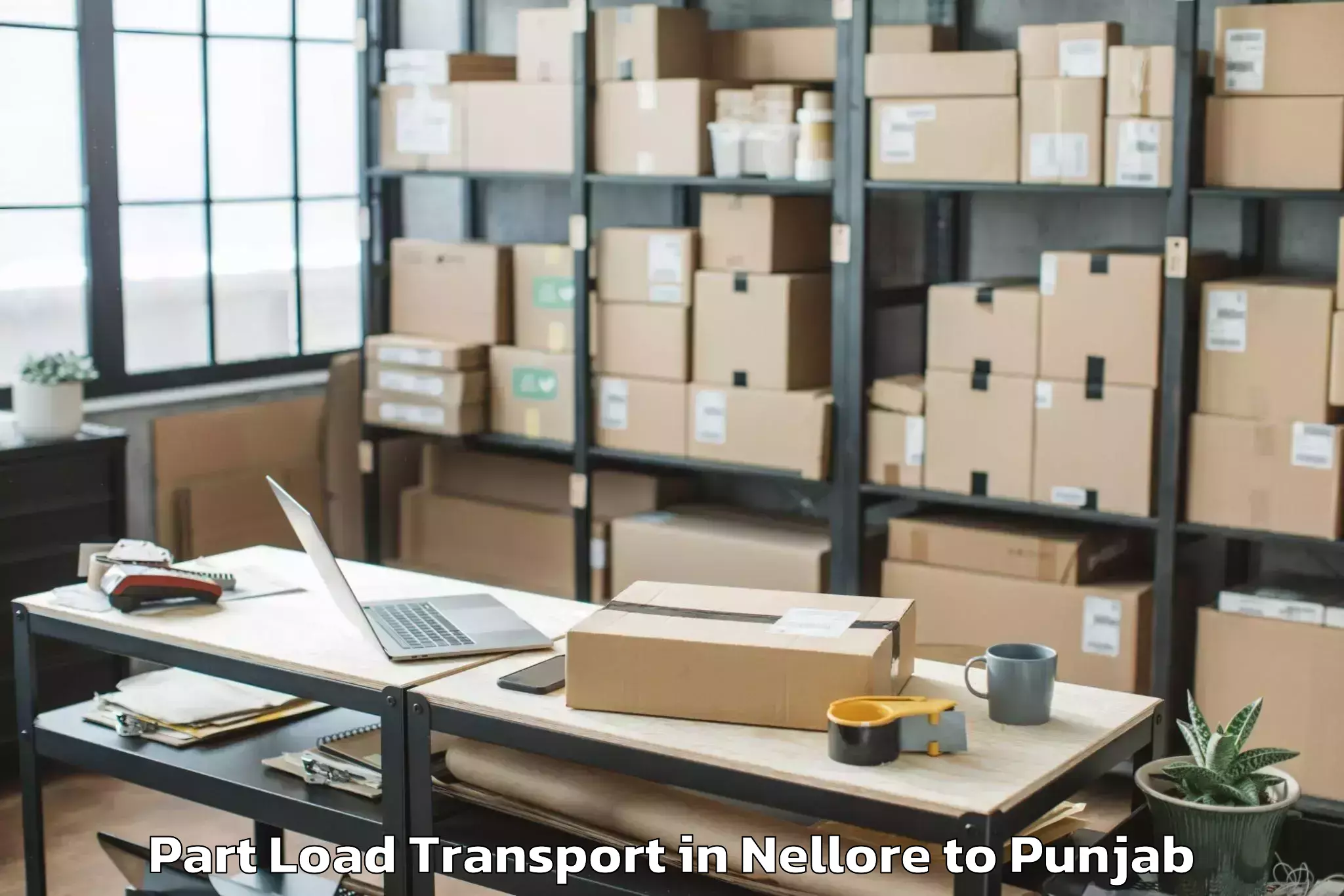 Professional Nellore to Mohali Part Load Transport